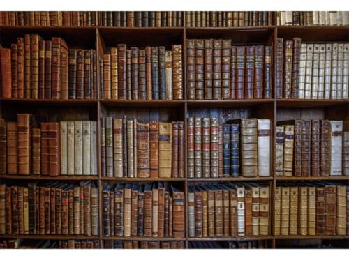 Xiaoterna 3,5x2,5m Klassische Bücherregal Hintergrund Mittelalterlicher Palast Innen Braunes Holz Bücherregal Fotohintergrund Bibliothek Antike Bücherregal Hintergrund künstlerische Foto Requisiten