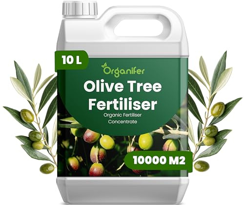Olivenbaum Flüssigdünger 10L – Organischer Flüssig-Pflanzendünger für Garten, Terrassen und mediterrane Olivenbäume – Organifer