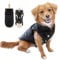 Eastlion Winter Hundemantel Warm Wasserdicht Hundejacke Hunde Welpen Bekleidung Kleidung Weste mit D-Ring,Schwarz,Größe XL