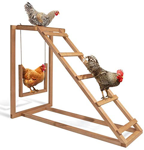 IDMarket Spielplatz aus Holz für Hühner mit Schaukel und Sitzstange