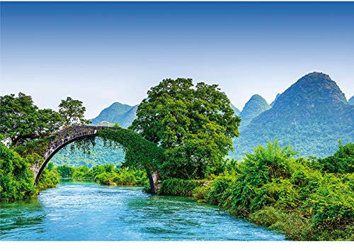 Urwald Fototapete mit Brücke | Regenwald Fototapete in Blau Grün für Flur und Wohnzimmer | Natur Bildtapete mit See und Bäumen