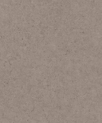 Rasch Tapeten Vliestapete (universell) Braun 10,05 m x 0,53 m Concrete 520873