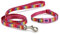 Ancol Small Bite Regenbogen-Halsband und Leine, Set für kleine Hunde und Welpen