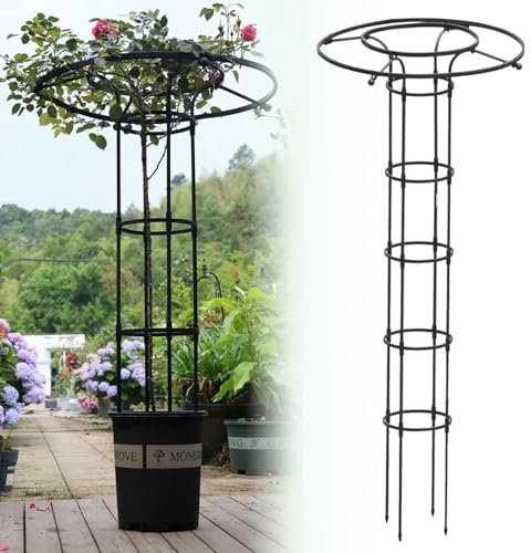 Support de vigne en fer forgé antirouille pour plantes grimpantes, treillis de jardin en métal, 215 x 60 cm (noir)