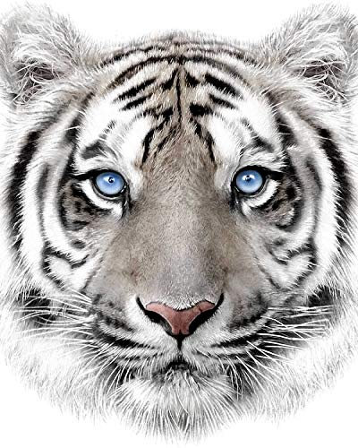 Jerry Fabrics Kuscheldecke Microfaser Flauschdecke weißer Tiger 120 x 150 cm