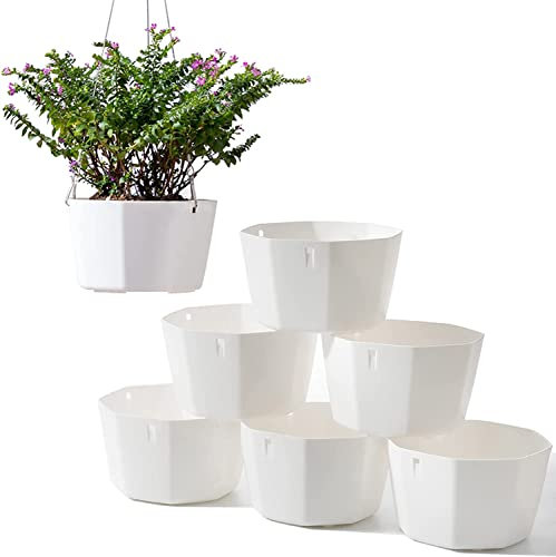 Dproptel 6 Pack 6 Inch Hanging Planter Basket Indoor/Outdoor Self Watering Flower Pots Plants Holder Hanger with Chain Hooks Drainage Holes for Garden Home Decor (White)