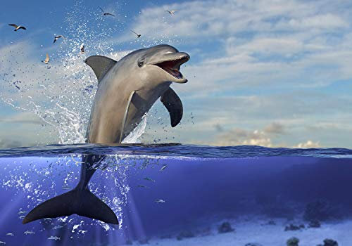 wandmotiv24 Fototapete springender Delfin Wasser, M 250 x 175 cm - 5 Teile, Wanddeko, Wandbild, Wandtapete, Meer Ozean Delphin M6474
