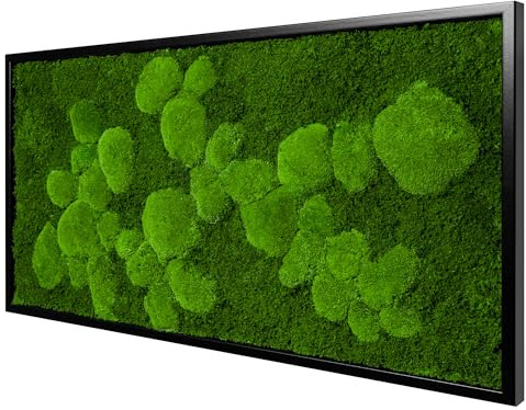 Moos Design | Moosbild in versch. Größen (Fifty Fifty Design, Holzrahmen: schwarz, 110 x 55 cm)