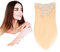 Beyond Your Thought Clip in Extensions Echthaar, 100% Remy Echthaar für haarverlängerung echthaar glatt Haarteile für Komplette Kopf, #60, Blonde, 45cm, 120g/10 Stück