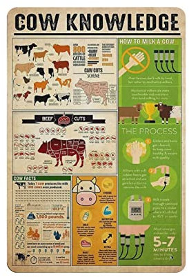 Kuh-Wissen Poster Metallschild Kunst Wandschild Dekor Infografik Poster Eisenmalerei Aluminiumschild für Schule Bildung Bauernhof Männer Höhle Bar Yoga Outdoor Dekor 20,3 x 30,5 cm