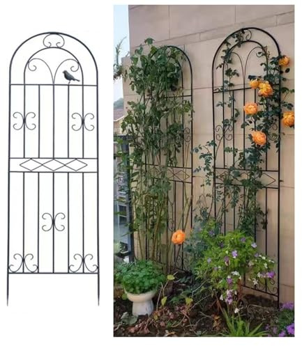 DYPJHEO 180x50cm Treillis Métallique de Jardin pour Plantes grimpantes, vignes en Pot, légumes, Fleurs grimpantes, rosiers, concombres, pelouse, Jardin, terrasse, Noir