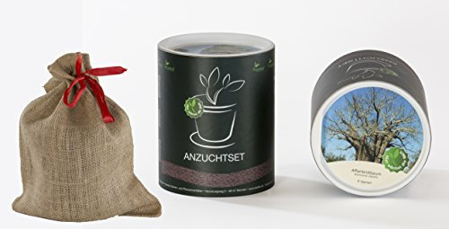 Seedeo Anzucht-Geschenkset Affenbrotbaum (Adansonia digitata)