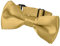 BomGuard Kinder Fliege Kleinkind einfarbig,gold
