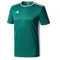 Adidas Entrada 30 Camiseta de Manga Corta, Hombre, Verde (Collegiate Green/White), XL