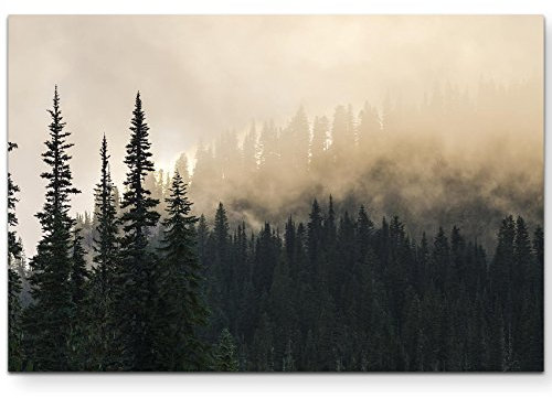Eau Zone Wandbild auf Leinwand 120x80cm Wald im Nebel