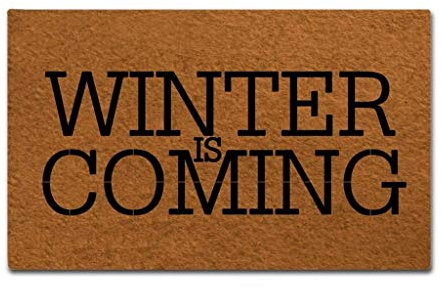 Shinewe Fußmatte Winter is Coming, lustige Fußmatte für drinnen und draußen, dekorative Bodenmatte, rutschfeste Gummimatte, 45 x 75 cm