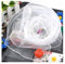 Rockreyoa 10 Stück 60 * 60cm Jongliertücher Buntes Tanz Tücher Chiffontücher Seidentücher für Tanzen, Jonglieren, Sensorisches, Tanztücher, Aktivitäten Zubehör, Kindergarten Kindershow Weiß