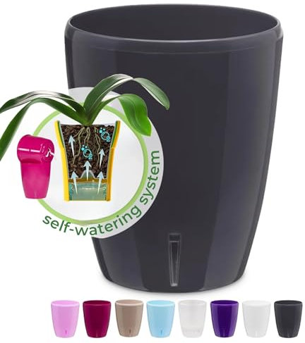 Happyplants Happy Plants ORCHIDEA Clear Orchid Self-Watering Flower Pot Planter With Water Level Indicator Water Reserve And Drainage Holes (Ø12.5CM Ø15CM Ø16.5CM) (Anthracite, Ø 15CM - 2L)
