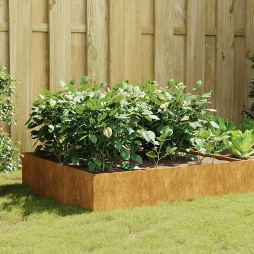 Canditree Lit Surélevé de Jardin Rouillé en Acier Corten, Carré Potager | Bac à Semis Jardinière pour Légumes Fleurs 100x100x41 cm