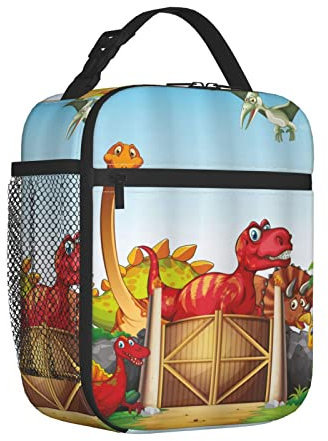 Lonchera portátil para mujeres/hombres, aislada, para recién nacidos para bebé, lonchera reutilizable para oficina, trabajo, escuela, picnic, beac