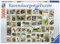 Ravensburger Puzzle 17079 - Tierbriefmarken - 3000 Teile