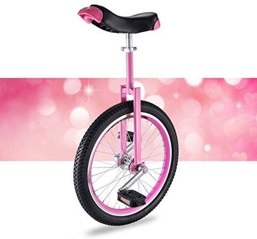 TXTC 20 Rad Einrad Weiteten Sich Und Verdickte Reifen Reifen-Rad-Fahrrad Outdoor Sports Fitness Übung, Einzelnes Rad Laufrad Fahrrad, for Outdoor-Sportarten Reisen (Color : Pink)