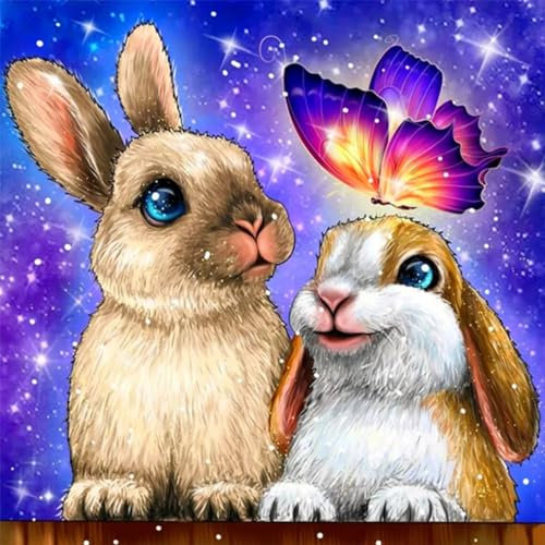GOGHSCEK Diamond Painting Bilder Hase, 5D Diamond Painting Diamant Painting Bilder Erwachsene Tiere, DIY Diamant Malerei Bilder Erwachsene Hase Set 30x30cm Hase und Schmetterling für Dekoration