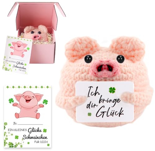Audasi Pocket Hug Glücksschweinchen, Positive Geschenke Minischwein Puppe und Kleine Umarmung Glücksbringer Upgrade Verpackung mit Geschenkbox Mutmacher Geschenk, Gute Besserung, Einschulung Geschenk
