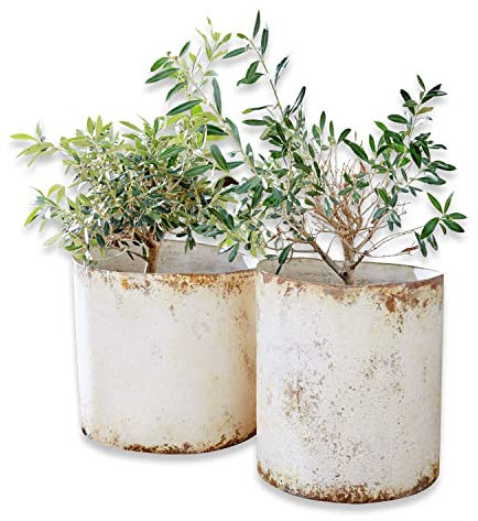 Loberon Übertopf 2er Set Sconne, Zwei Größen, rustikaler Vintage-Look, Starkes Antik-Finish, Pflanzgefäß, Gartenzubehör, Outdoor, Eisen, antikbeige