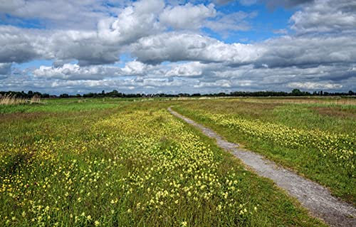 LHJOYSP 3D Puzzle Allianz Arena 1000 Teile,natürliche Schönheit,75x50cm