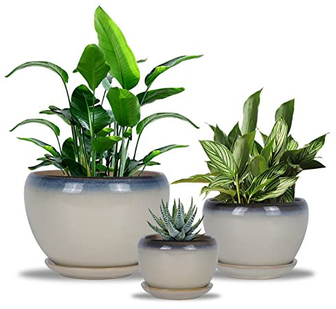 Ceramicfor Blumentopf mit Drainage, 3er-Set, Pflanztopf mit verbundenem Untersetzer, Keramik-Übertopf für Zuhause, Garten, 7,6 cm, 10,2 cm, 12,7 cm