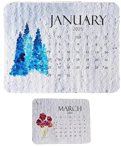 Calendrier de l'Avent 2025 à planter - Biodégradable - En papier à - Calendrier de 12 mois à planter pour la maison - Calendrier quotidien - Calendrier créatif esthétique pour l'école