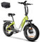 ttgo E Bike Klapprad, 20 Zoll Elektrofahrrad für Herren mit 36V 25AH Abnehmbarem Akku, 4.0 Fat-Tire Mountain Ebike mit 250W Mittelmotor und Drehmomentaufnehmer Reichweite 80-100KM, F6 (Grün)