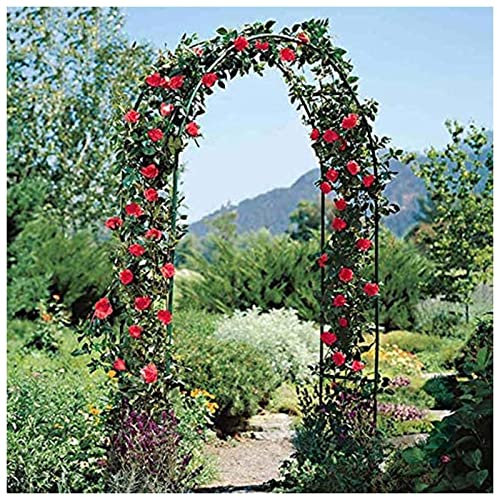 qmj Rosenbogen Metall Rosenbogen Eisen Massiv Gartenbogen Rankhilfe Metall Gartendekoration Pflanzen Kletterhilfe,Black-200cm*220cm