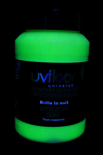 Peinture Phosphorescente 250 Ml – Glow In The Dark