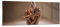 Panorama Bilder auf Glas Nackt Frau Figur Glasbild 140x50cm Wandbilder Dekoration Wohnzimmer Schlafzimmer Küche Groß XXL Wanddeko Bild im Glas Wand Kunstdruck Art Modern Wall Decor GAB140x50-4775