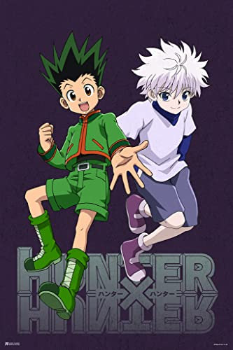 Hunter X Hunter Anime Merch Filmposter, grafische Wanddekoration, Anime-Poster, Gon Killua, Wandkunst, Manga-Serie, TV-Show, Kinderzimmer, Heimdekorationen, Geburtstagsgeschenk, Poster, 30.5x45.7 cm