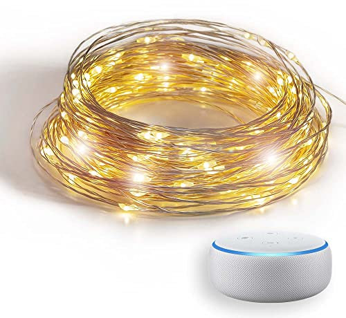 GuirLED - Lichterkette WiFi Mini LED USB – Sprachsteuerung – vernetztes Haus – Amazon Alexa & Google Assistant – 100 LEDs 10 Meter – Silber Filament