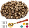 Foonii 200 Stück Siegelwachs Perlen Set mit 1 Schmelzlöffel, 2 Teelichte | Siegellack Perlen Set für Umschlag/Einladungen/Karten/Geschenk (Bronze)