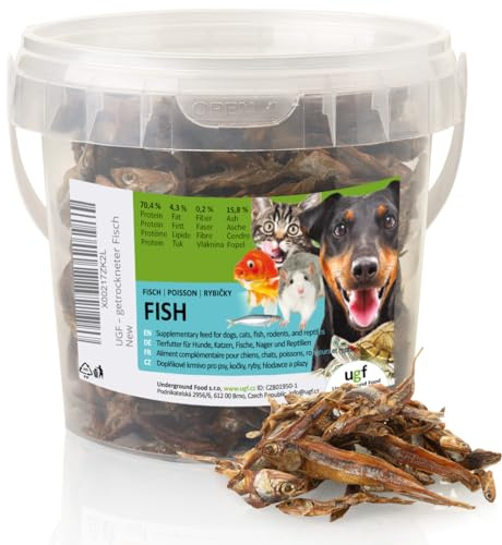 UGF - Pesce essiccato per cani, snack per cani - 80 g in un secchio da 500 ml, senza cereali, pesce essiccato, ipoallergenico, dietetico, snack per l'addestramento
