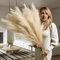Harry's Cottage Premium Quality Extra Large Beige Pampas Grass Artificial | 3 stems of 115cm Durable Faux Fake Tall Pampas Grass Wall Decoration | Fluffy Large Feathers for Boho Decor Vase