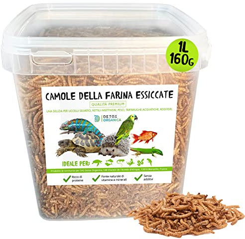 Detox Organica Camole della Farina Essiccate [ 160gr/1000ml-PRODOTTO GERMANIA ] Qualità Premium, 100% Naturale |Tarme della Farina – Mangime per Uccelli Selvatici, Pesci, Tartarughe, Roditori, Rettili
