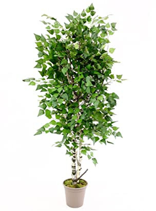 Birken Kunstbaum 150cm mit Naturstämmen und 924 Textilfaser Blätter - Künstlicher Birkenbaum mit echtem Stamm