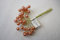 Rose Gold Pearl with Gold Wire Spray 10mm