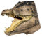 Alligator Maske aus Latex - realistische Tiermaske als Verkleidung für Halloween, Karneval & Motto-Party