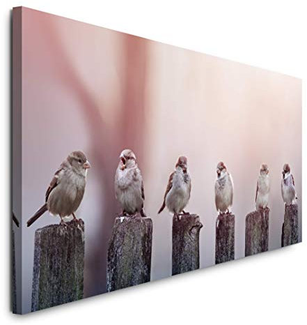Paul Sinus Art GmbH Vögel auf Holzstämmen 120x 50cm Panorama Leinwand Bild XXL Format Wandbilder Wohnzimmer Wohnung Deko Kunstdrucke