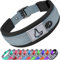 Joytale Halsband Hund, Weich Hundehalsband Gepolstert Neopren Hunde Halsband für Große Hunde, Nylon Reflektierend Breit Halsbänder, Grau