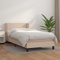 MNISDFL Bett kopfteil Bodenbett Schlafzimmer möbelEinzelbett Boxspringbett mit Matratze Cappuccino-Braun 90x190cm Kunstleder