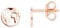 XENOX Ohrringe XS3163R Damen Ohrstecker Welt Erde Sterling-Silber 925 Rose