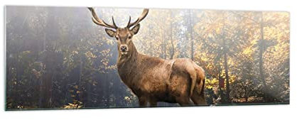 ARTTOR Bilder auf Glas 160x50cm Wandbild Glasdruck Wald Natur - 4452